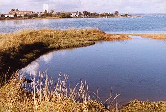 About half of the Glory Hole with a high tide. Milton Locks Reserve is on the far side.