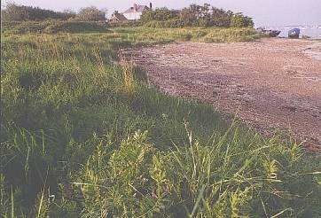 The shore at Milton Locks Reserve