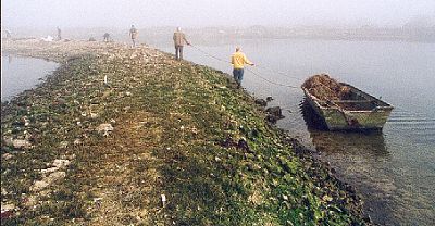 The Friends of Langstone Harbour removing vegetation on a misty March morning.