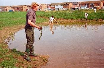 pond in 1991