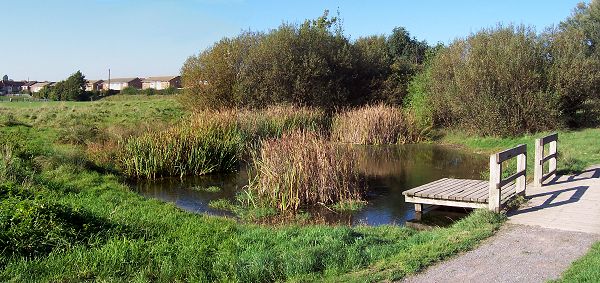 The water level seemed well up, in spite of recent drought.